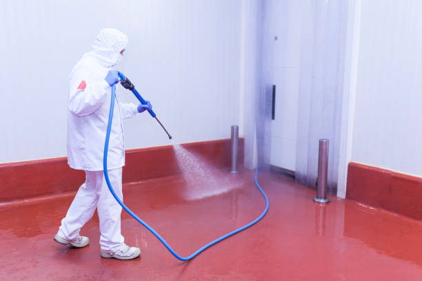 Best Sidewalk and Walkway Cleaning  in Kenilworth, PA