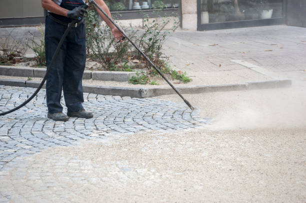 Best Pre-Holiday Cleaning  in Kenilworth, PA